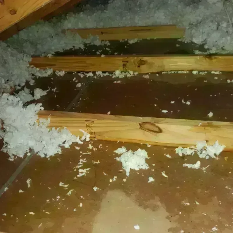 Attic Water Damage in McDowell County, NC