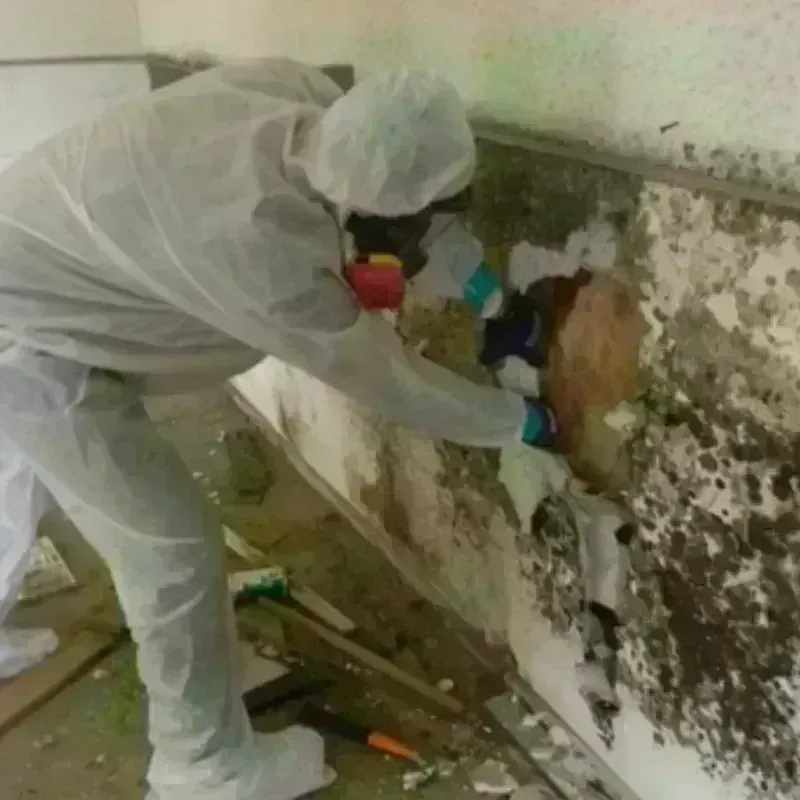 Mold Remediation and Removal in McDowell County, NC